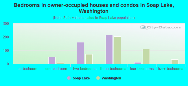 Bedrooms in owner-occupied houses and condos in Soap Lake, Washington