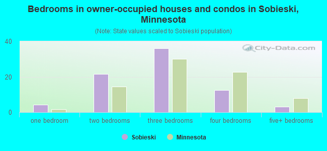 Bedrooms in owner-occupied houses and condos in Sobieski, Minnesota
