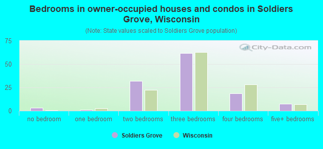 Bedrooms in owner-occupied houses and condos in Soldiers Grove, Wisconsin