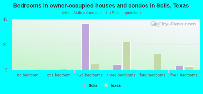 Bedrooms in owner-occupied houses and condos in Solis, Texas