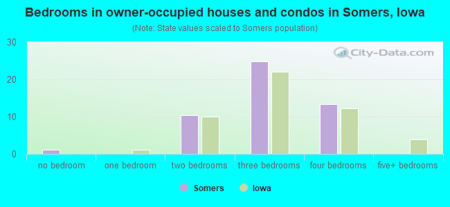 Bedrooms in owner-occupied houses and condos in Somers, Iowa