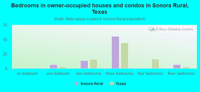 Bedrooms in owner-occupied houses and condos in Sonora Rural, Texas