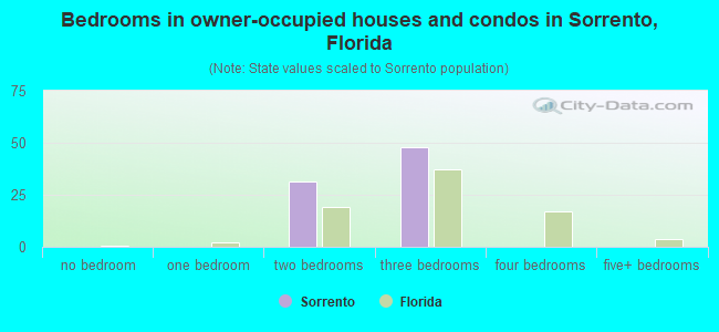 Bedrooms in owner-occupied houses and condos in Sorrento, Florida