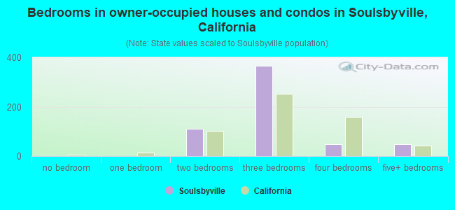 Bedrooms in owner-occupied houses and condos in Soulsbyville, California