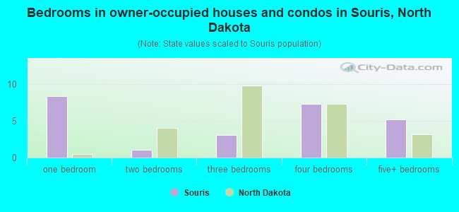 Bedrooms in owner-occupied houses and condos in Souris, North Dakota