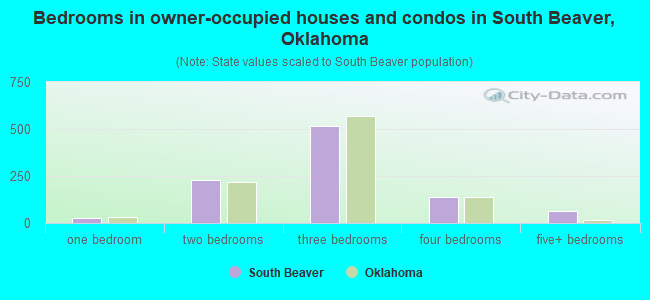 Bedrooms in owner-occupied houses and condos in South Beaver, Oklahoma