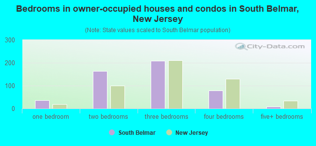 Bedrooms in owner-occupied houses and condos in South Belmar, New Jersey