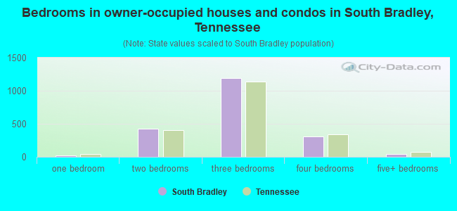 Bedrooms in owner-occupied houses and condos in South Bradley, Tennessee