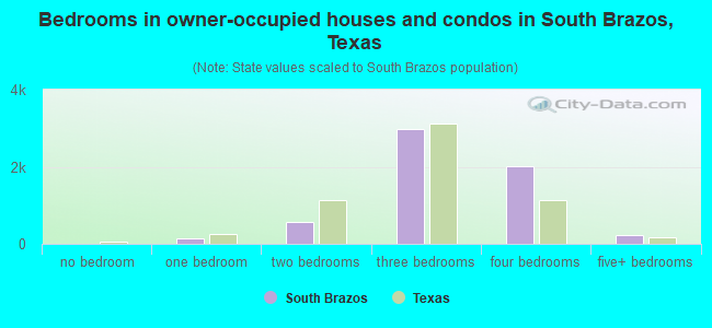 Bedrooms in owner-occupied houses and condos in South Brazos, Texas