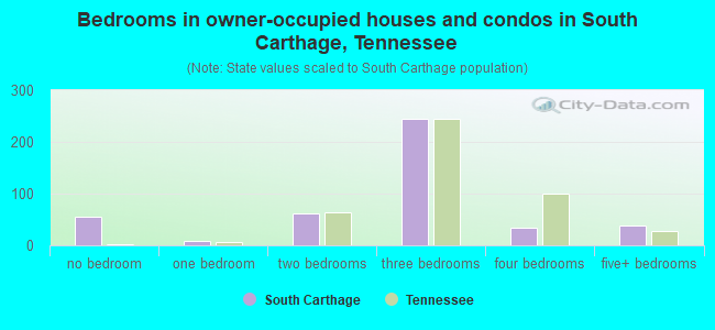 Bedrooms in owner-occupied houses and condos in South Carthage, Tennessee