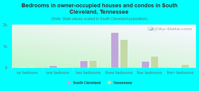 Bedrooms in owner-occupied houses and condos in South Cleveland, Tennessee