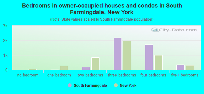 Bedrooms in owner-occupied houses and condos in South Farmingdale, New York