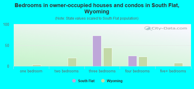Bedrooms in owner-occupied houses and condos in South Flat, Wyoming