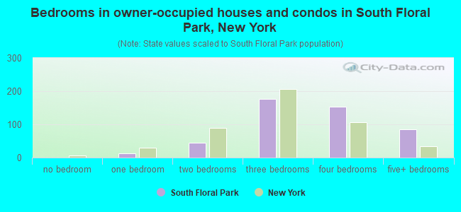 Bedrooms in owner-occupied houses and condos in South Floral Park, New York