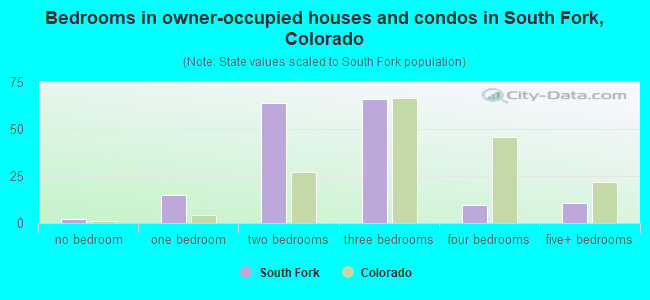 Bedrooms in owner-occupied houses and condos in South Fork, Colorado