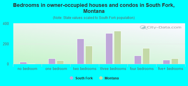 Bedrooms in owner-occupied houses and condos in South Fork, Montana