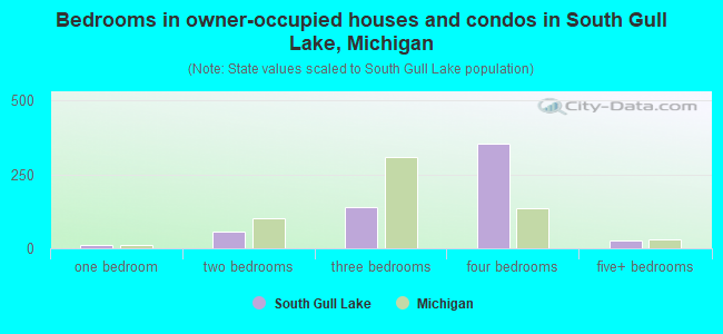 Bedrooms in owner-occupied houses and condos in South Gull Lake, Michigan