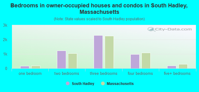 Bedrooms in owner-occupied houses and condos in South Hadley, Massachusetts