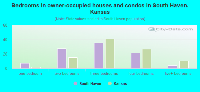 Bedrooms in owner-occupied houses and condos in South Haven, Kansas
