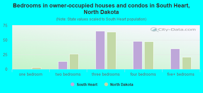 Bedrooms in owner-occupied houses and condos in South Heart, North Dakota