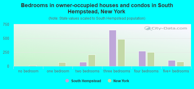 Bedrooms in owner-occupied houses and condos in South Hempstead, New York