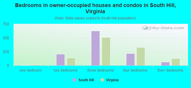 Bedrooms in owner-occupied houses and condos in South Hill, Virginia