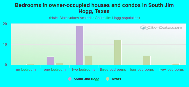 Bedrooms in owner-occupied houses and condos in South Jim Hogg, Texas