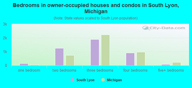 Bedrooms in owner-occupied houses and condos in South Lyon, Michigan