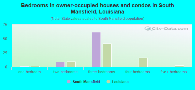 Bedrooms in owner-occupied houses and condos in South Mansfield, Louisiana