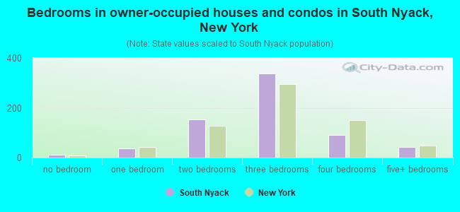 Bedrooms in owner-occupied houses and condos in South Nyack, New York