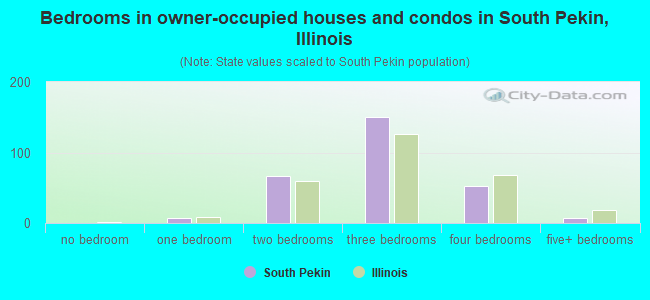 Bedrooms in owner-occupied houses and condos in South Pekin, Illinois