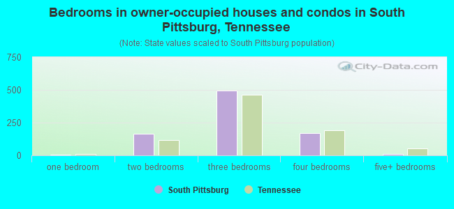 Bedrooms in owner-occupied houses and condos in South Pittsburg, Tennessee