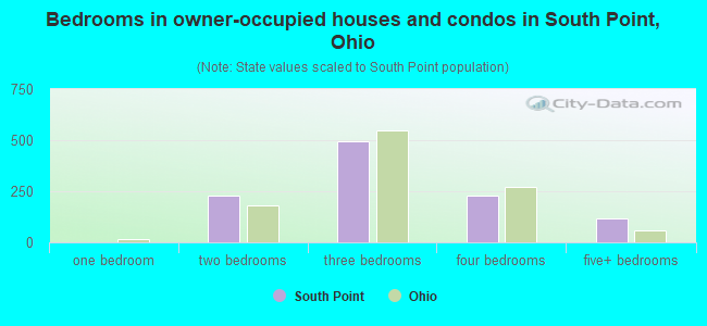 Bedrooms in owner-occupied houses and condos in South Point, Ohio