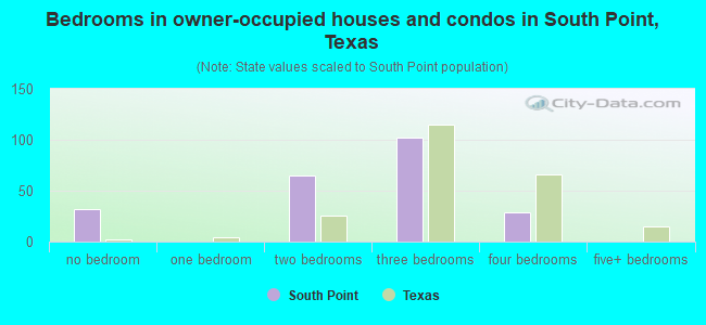 Bedrooms in owner-occupied houses and condos in South Point, Texas