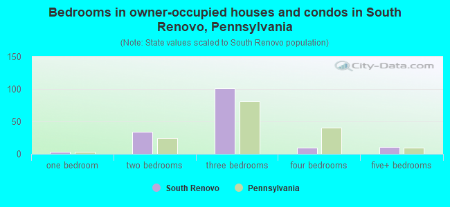 Bedrooms in owner-occupied houses and condos in South Renovo, Pennsylvania