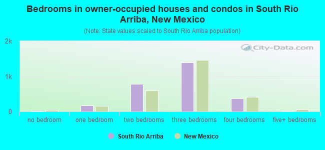 Bedrooms in owner-occupied houses and condos in South Rio Arriba, New Mexico