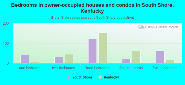 Bedrooms in owner-occupied houses and condos in South Shore, Kentucky