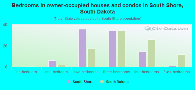 Bedrooms in owner-occupied houses and condos in South Shore, South Dakota