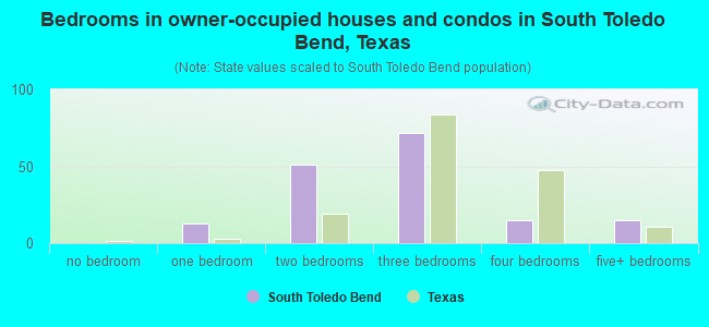 Bedrooms in owner-occupied houses and condos in South Toledo Bend, Texas