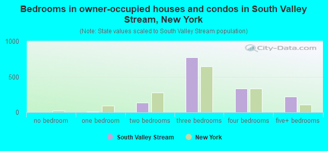 Bedrooms in owner-occupied houses and condos in South Valley Stream, New York