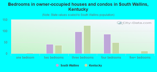 Bedrooms in owner-occupied houses and condos in South Wallins, Kentucky