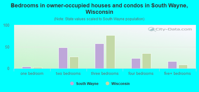 Bedrooms in owner-occupied houses and condos in South Wayne, Wisconsin