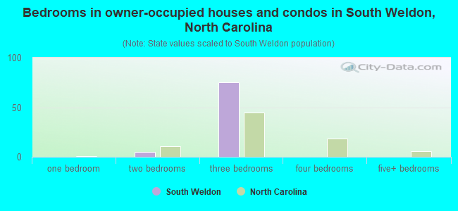 Bedrooms in owner-occupied houses and condos in South Weldon, North Carolina