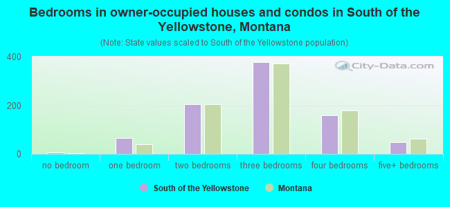 Bedrooms in owner-occupied houses and condos in South of the Yellowstone, Montana