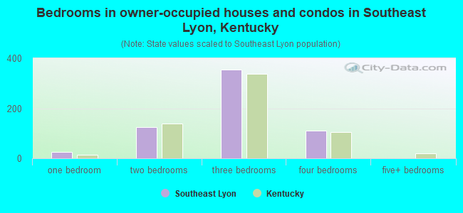 Bedrooms in owner-occupied houses and condos in Southeast Lyon, Kentucky