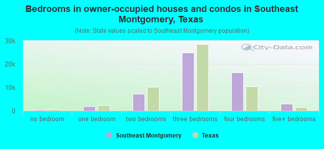 Bedrooms in owner-occupied houses and condos in Southeast Montgomery, Texas