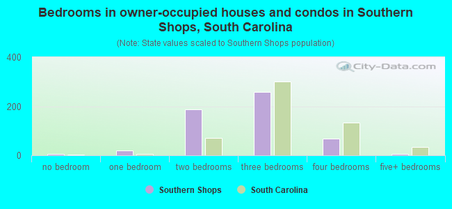 Bedrooms in owner-occupied houses and condos in Southern Shops, South Carolina