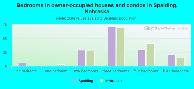 Bedrooms in owner-occupied houses and condos in Spalding, Nebraska