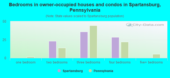 Bedrooms in owner-occupied houses and condos in Spartansburg, Pennsylvania