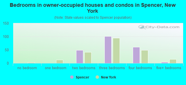 Bedrooms in owner-occupied houses and condos in Spencer, New York